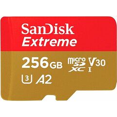 Карта памяти SanDisk SDSQXBZ-256G-GN6MA