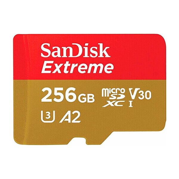 Карта памяти SanDisk SDSQXBZ-256G-GN6MA
